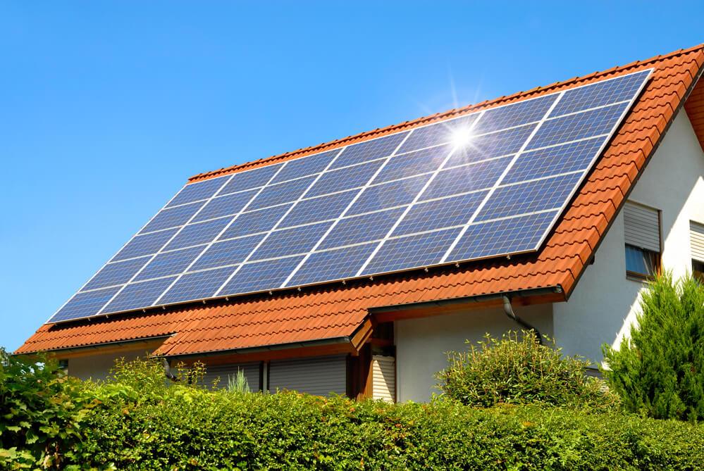 Solar Panels in a vibrant setting